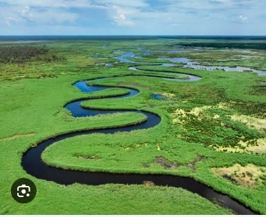 The Lachlan River meandering through the greater Cumbung  swamp . In contrast to the drained floodplains along the present irrigated sections of the mid and upper Lachlan River.